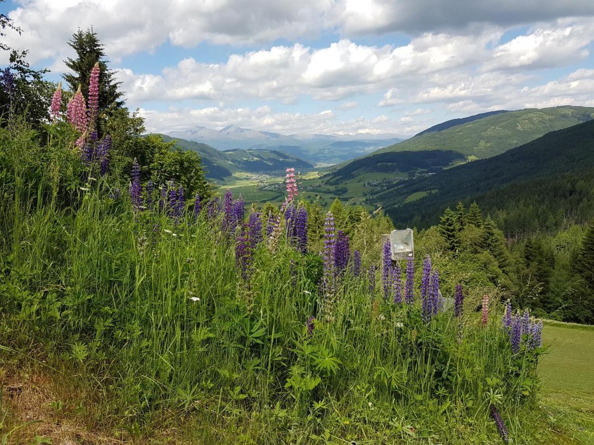 Residenz Monica Top 6 Sankt Margarethen im Lungau Dış mekan fotoğraf
